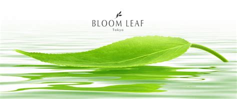 BLOOM LEAF