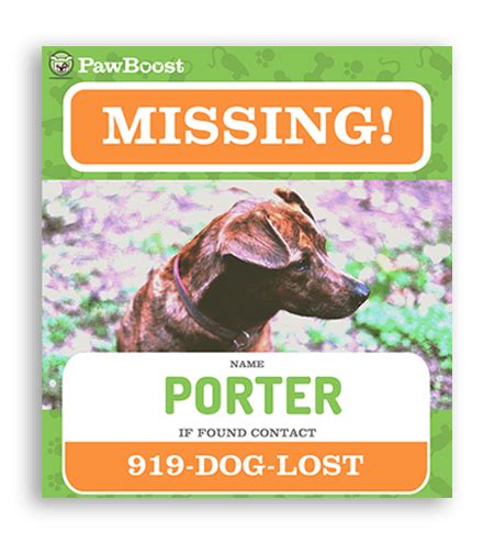 Pawboost Lost Pet Flyer | Losing a pet, Losing a dog, Flyer template