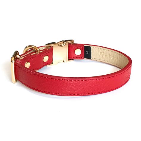 Fine Doggy Adjustable Red Leather Dog Collar | Healthy Spot