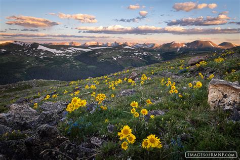 Frequently Asked Questions about Rocky Mountain National Park | Rocky ...