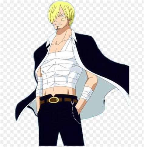 #sanji - sanji new world full body PNG image with transparent background | TOPpng