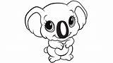 Free Printable koala coloring Pages For Kids Bear  sketch template