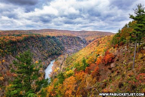 Where to Find Incredible Foliage Views in the PA Grand Canyon