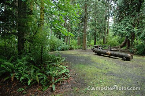 Camano Island State Park - Campsite Photos, Info & Reservations