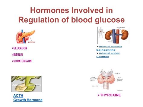 Hormonal regulation of Blood glucose (diabetes mellitus)