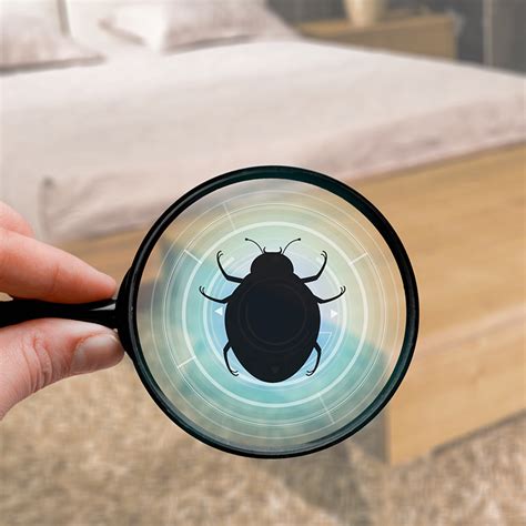 Bed Bug Control - VK Pest Control & Cleaning Services