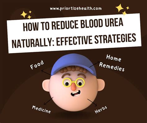 How to Reduce Blood Urea naturally: Effective strategies - Priortize Health