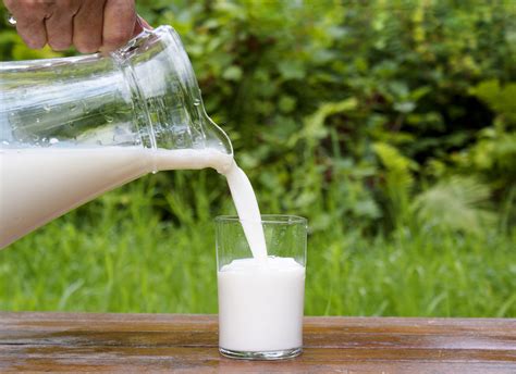 Got Organic Milk? New Study Says It's Healthier | Civil Eats