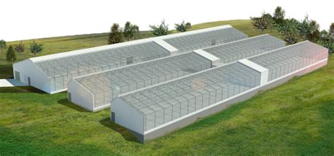 Advancing Sustainability Through Smart Greenhouse Design — AGRITECTURE