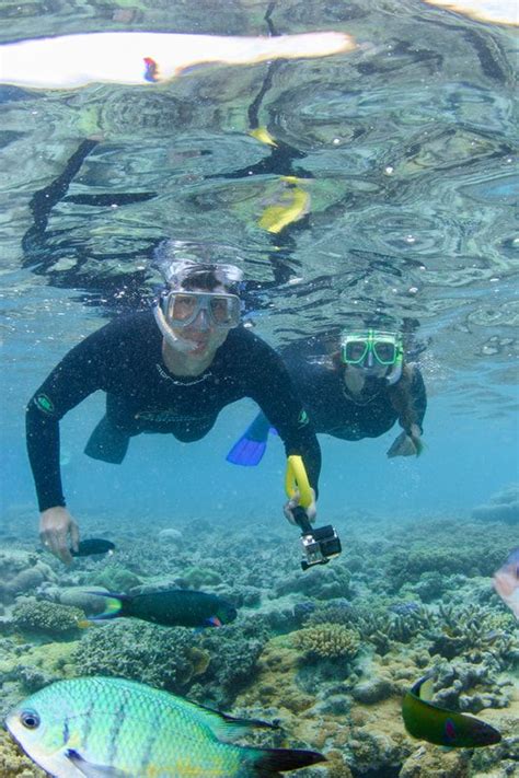 Snorkeling around Hardy Reef. The Great Barrier Reef, Australia -The ...