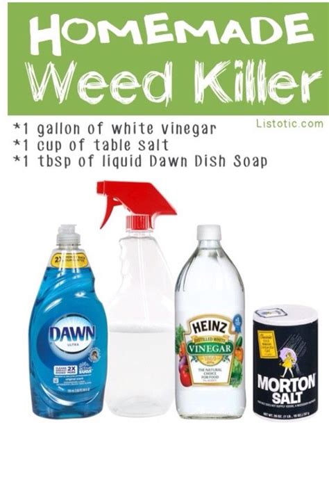 Vinegar Weed Killer Recipe With Epsom Salt | Recipes Bro