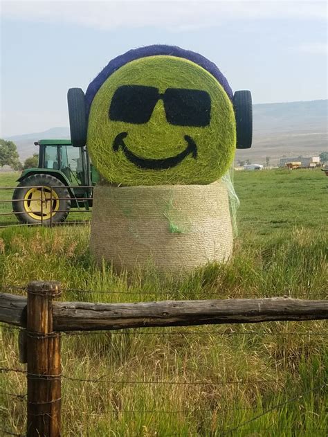 Hay Bale Art in 2024 | Hay bale art, Farm art, Wood yard art