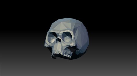 Free 3D Skull Low Poly Model - TurboSquid 1857648