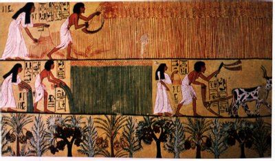 Ancient Egyptian Farming,Ancient Egypt Agriculture:Seasons,Techniques,Animals,Crops – Facts ...