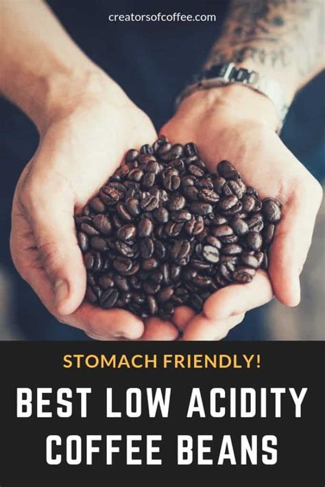 Lowest Acidity Coffee: The Best Low Acid Coffee Brands [2024 Guide ...