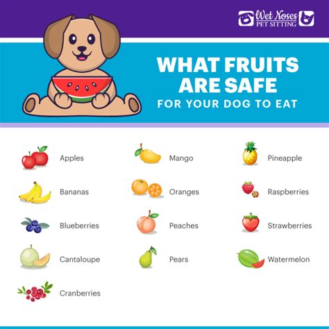 What Fruits Are Safe For Your Dog To Eat - Wet Noses Pet Sitting