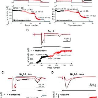 Effects of norbuprenorphine. Concentration-inhibition plots of... | Download Scientific Diagram