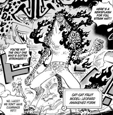 One Piece Confirms How Luffy's Devil Fruit Awakening is Unique