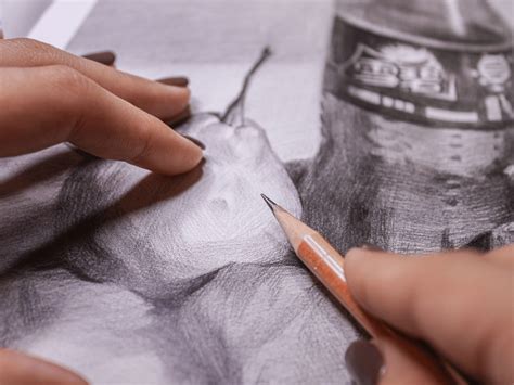 15 Best Drawing Tutorials to Learn From Scratch