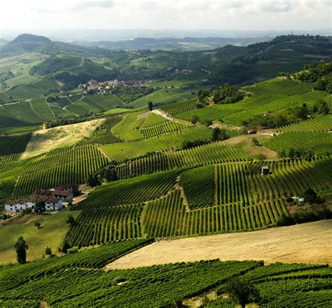 Piedmont - an Insider Guide to Discovering this Magical Italian Region