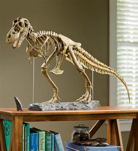 T-Rex Dinosaur Skeleton Model Kit | Fun with Science | Skeleton model ...