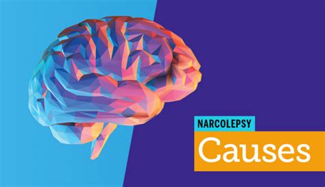 What Causes Narcolepsy? | MyNarcolepsyTeam