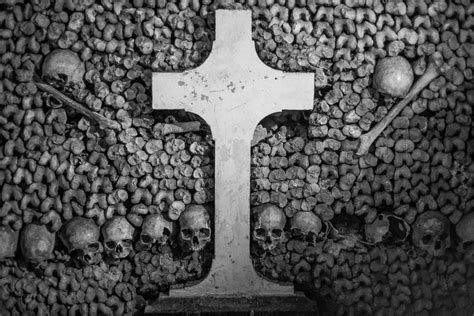 #483. Skulls and bones (Paris Catacombs) - DearSusan