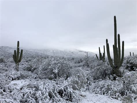 Snow in Tucson! : arizona