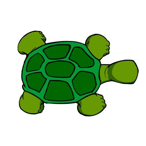 Kturtle Top View PNG, SVG Clip art for Web - Download Clip Art, PNG Icon Arts