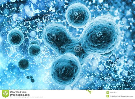 Bacterial Cell Under Microscope