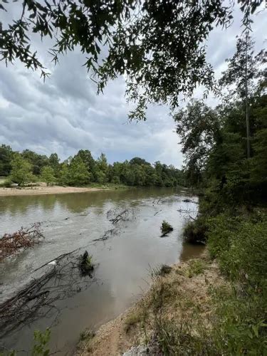 Best Hikes and Trails in Bogue Chitto State Park | AllTrails