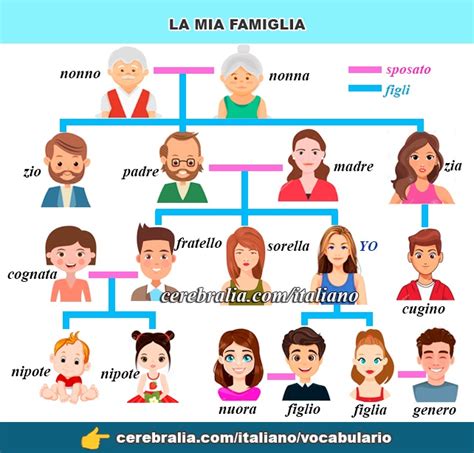 🥇【 VOCABULARIO DE LA FAMILIA EN ITALIANO 】 ️