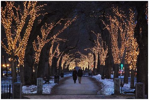 Boston Christmas Lights Tour | Home Design Ideas