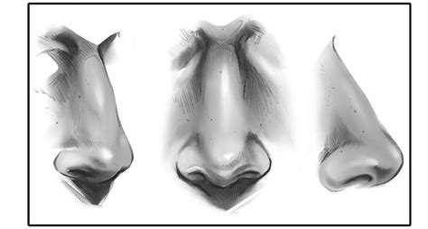 How to Draw a Nose | Art Rocket