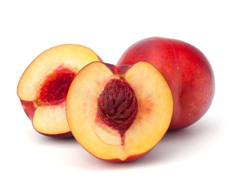 Nectarine fruit stock photo. Image of freshness, colour - 25098186