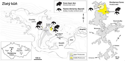 Positions of the vertical cave and hyena prey deposit and den sites at... | Download Scientific ...