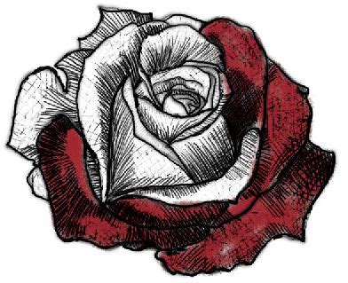 Rose Values #6 | Part of a digital rose drawing tutorial I p… | Flickr