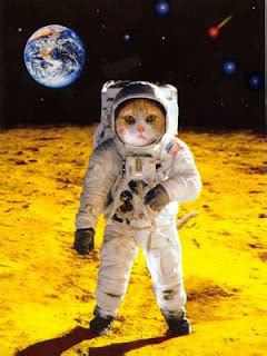 Puppy Love Preschool: Pretty Pictorial: Astronaut Cats