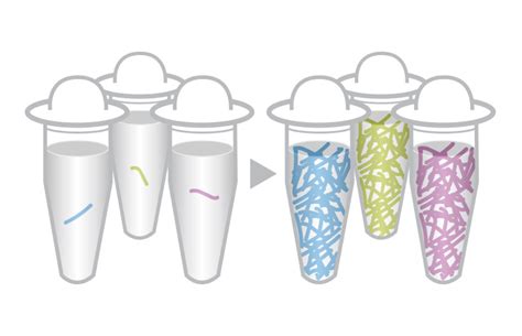 Genotyping by Sequencing | Sequence-based genotyping methods