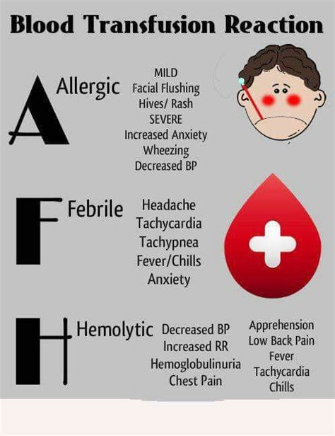 Transfusion reactions | Nursing mnemonics, Nursing school survival, Nurse