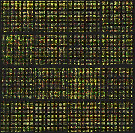 DNA Microarray Definition, Analysis & Gene Expression - Video & Lesson Transcript | Study.com