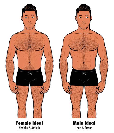 The Ideal Male Body Type According to Women (Survey Results)