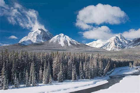 Bow Valley in winter Banff National Park - Alan Majchrowicz Photography