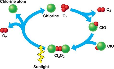 Blog 7: CFCs - Greenhouse Gases