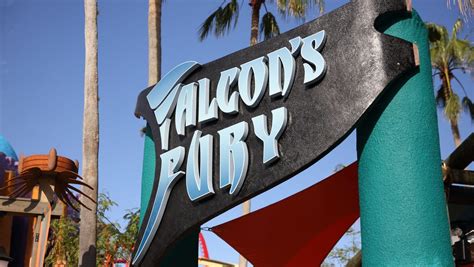 Falcon's Fury opens at Busch Gardens Tampa