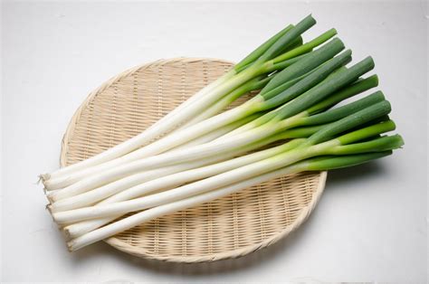 【画像あり】大人になってから美味しさに気づく野菜は？ : まとめておいしいナールング