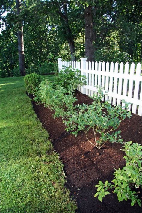 In the Fields : Our Berry Garden