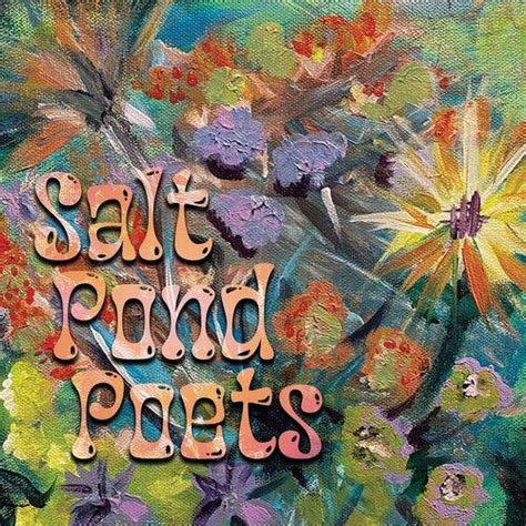 Salt Pond Poets - Salt Pond Poets (2023) [Blues / Blues Rock / Soul]; mp3, 320 kbps - jazznblues ...