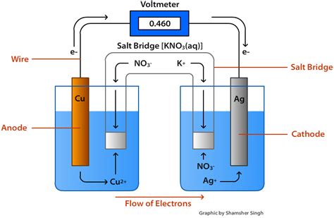 Voltaic Cells - Chemwiki | Cell diagram, Galvanic cell, Cell video