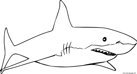 Printable Shark Outline